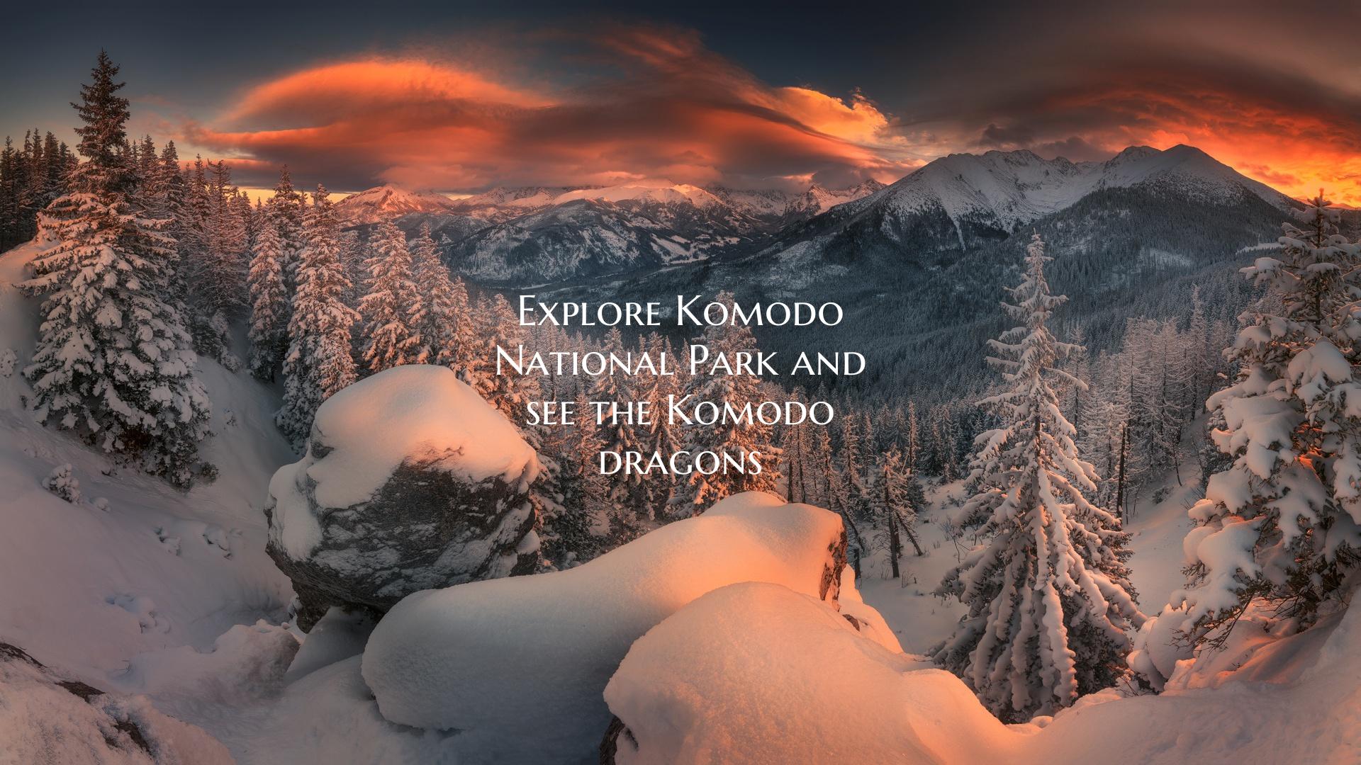 Explore Komodo National Park and see the Komodo dr...